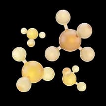 Everyday Immune Support